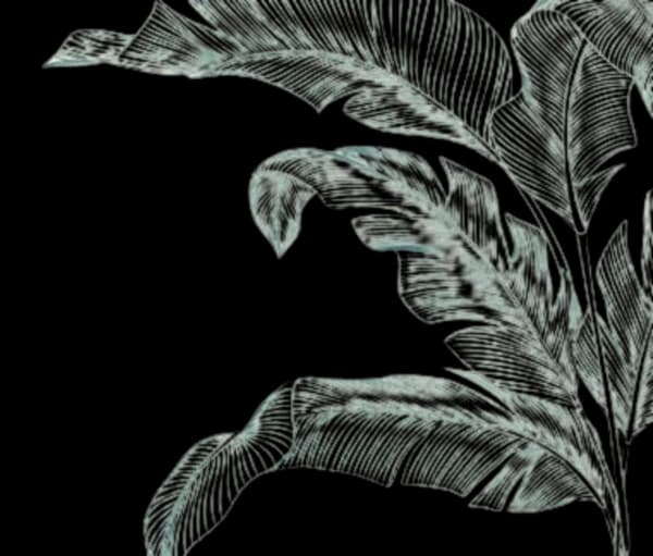 Tropical foliage illustration